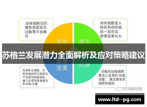 苏格兰发展潜力全面解析及应对策略建议